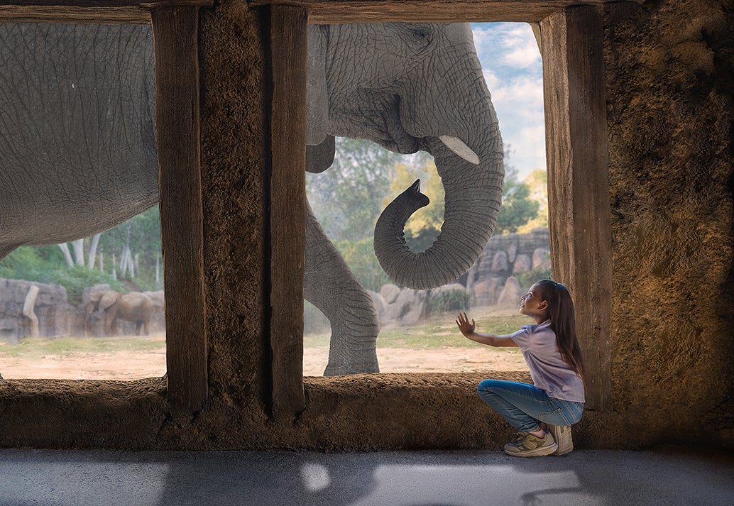 Elephant and child