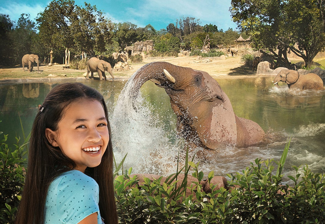 Elephant and child