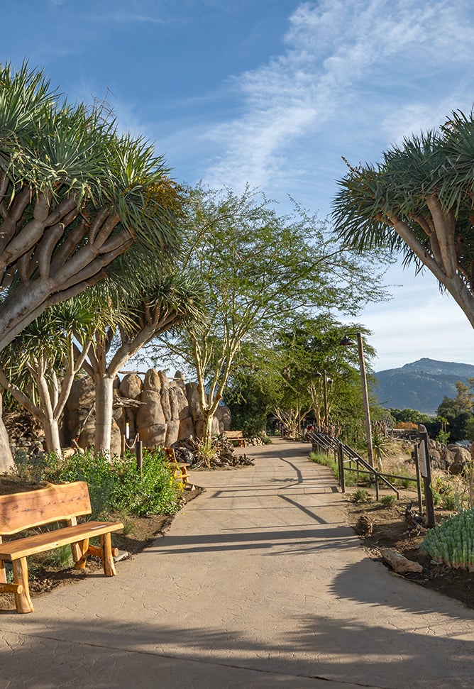 Walking path through Elephant Valley