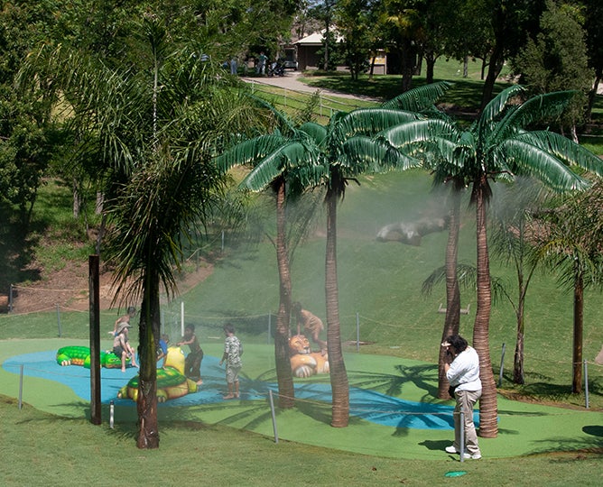 Savanna Cool Zone