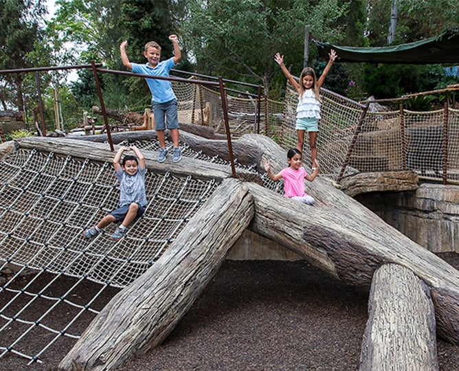 Camp Play Area