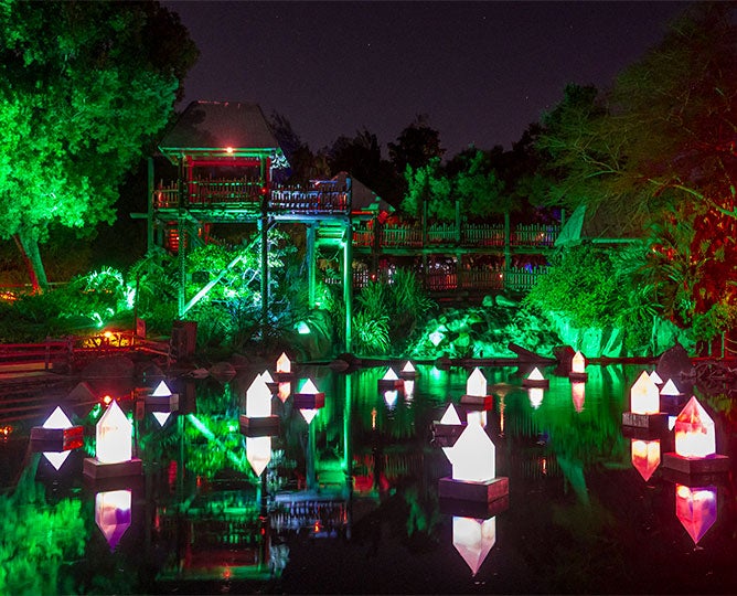 lights on a lagoon