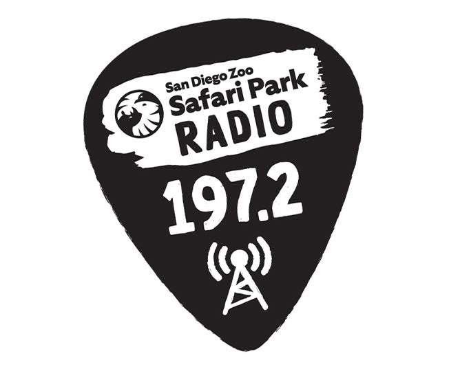 Safari Park Radio 197.2 FM