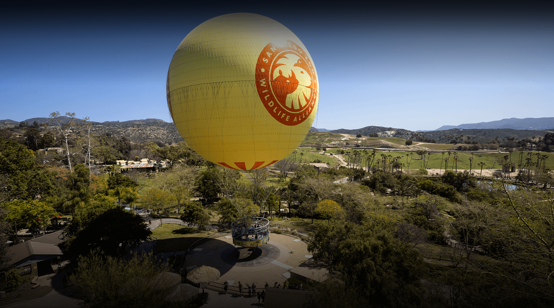 Balloon Safari