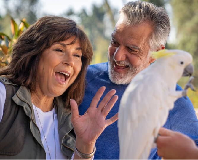 couple with cockatoo