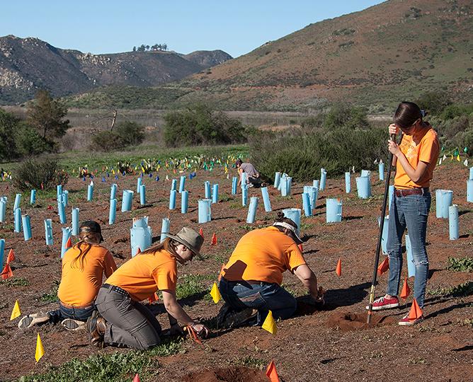 Conservation Corps