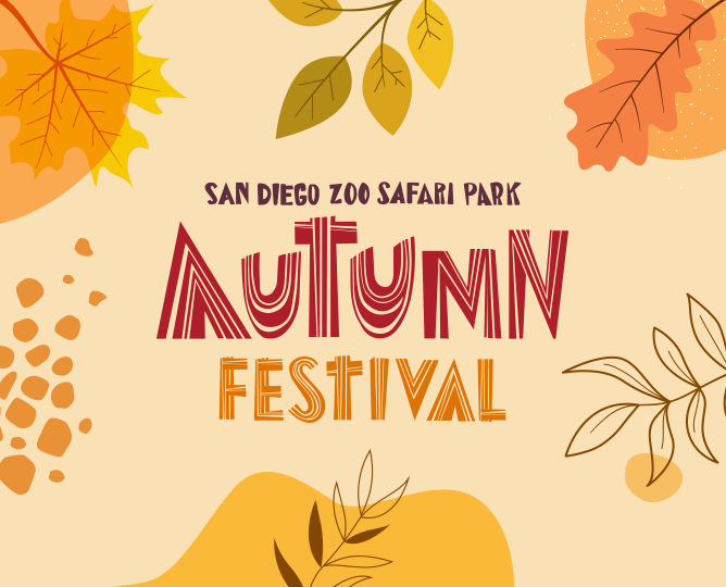 autumn festivaa