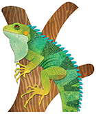 Reptile House