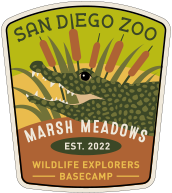 Marsh Meadows