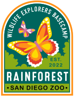 Rainforest