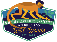 Wild Woods