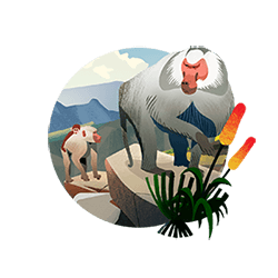 baboon icon