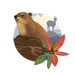 rock hyrax icon