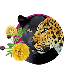 leopard icon