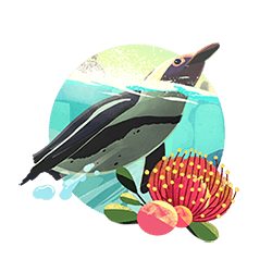penguin