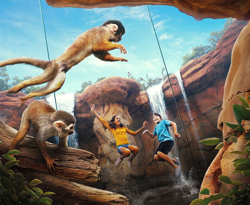 Wild Woods Squirrel Monkeys