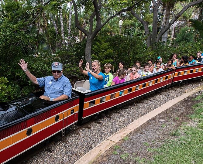 Miniature Train