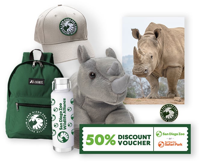 $1,000 Rhino Adoption