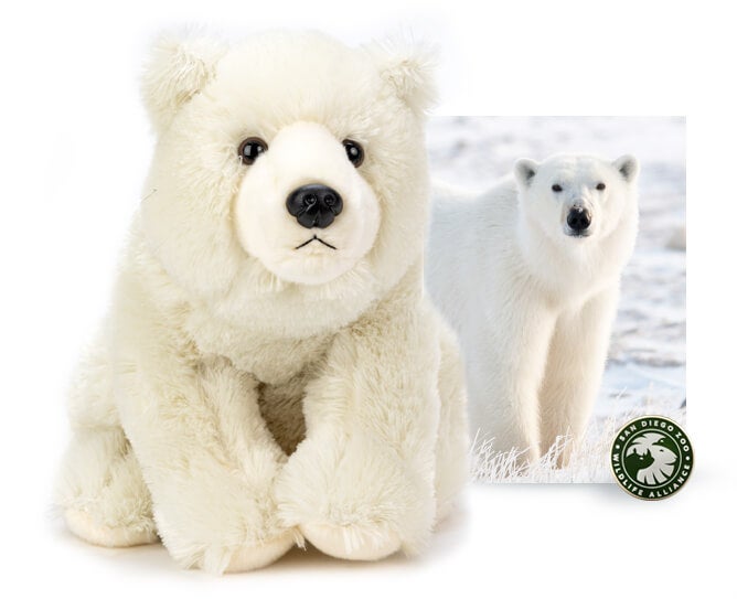 Polar Bear 