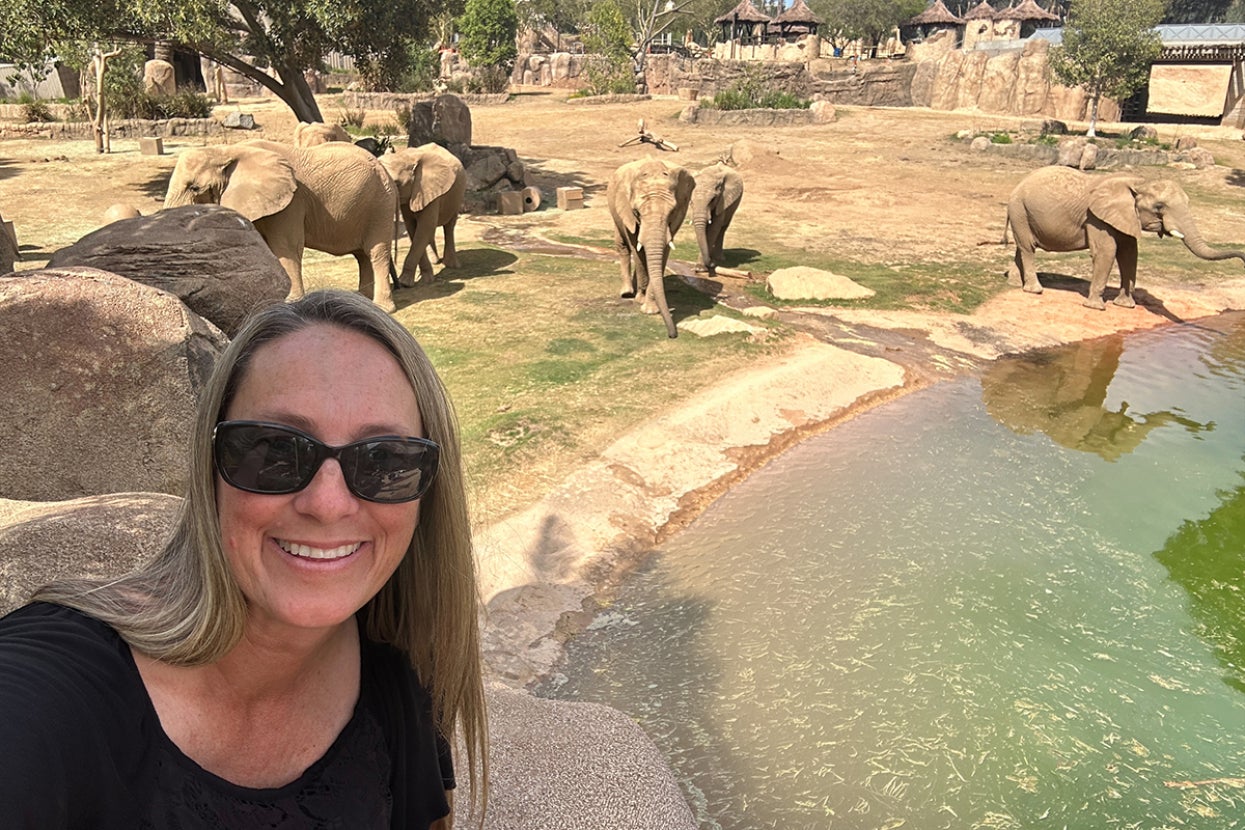 Mindy Albright with the African elephant herd 