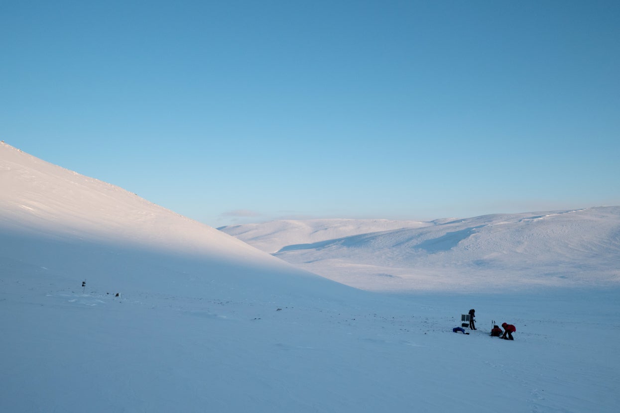team in Arctic 