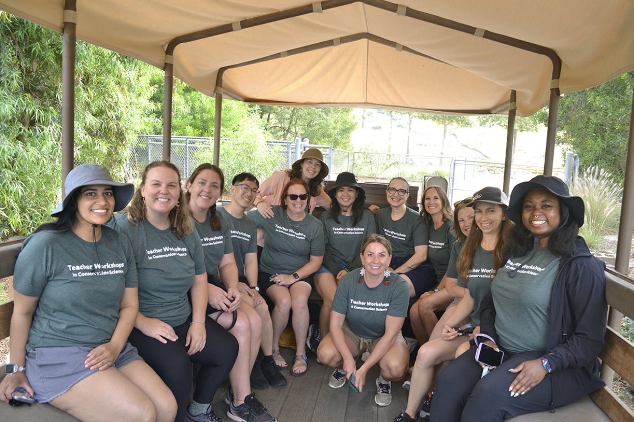 Group of educators on a Safari Park safari