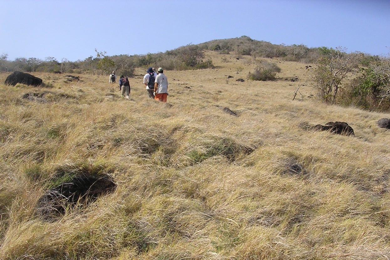 People hiking on Gili Motang Island, Indonesia