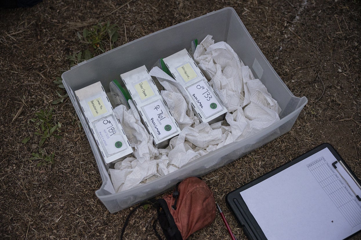 holding for Pacific pocket mice before reintroduction at Camp Pendleton