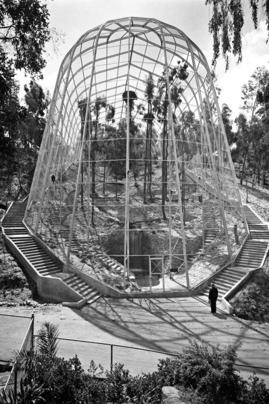 aviary