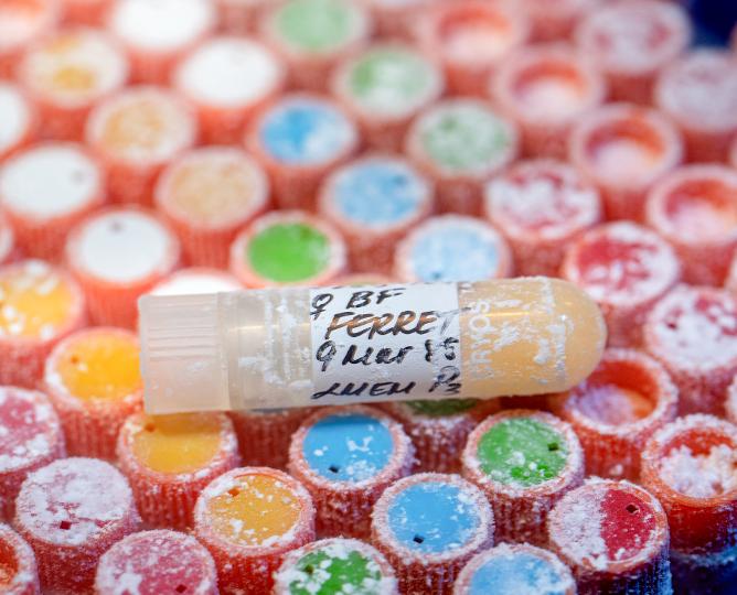 Test tube vial